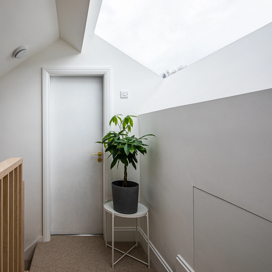 Un couloir lumineux avec un plafond en pente, une porte blanche au fond, et une plante verte dans un pot sur une table blanche.