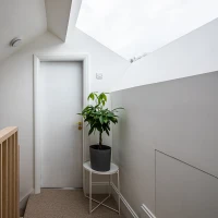 Pasillo iluminado con una puerta blanca al fondo. Un pequeño árbol en maceta está en una mesa blanca. Las paredes son de color blanco y hay una ventana en el techo que permite la entrada de luz natural.