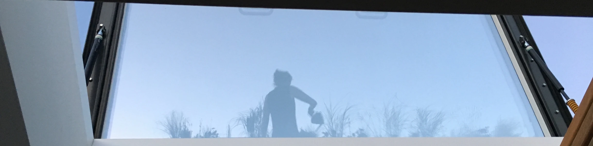 A person’s silhouette is visible through a skylight, surrounded by greenery against a clear blue sky.