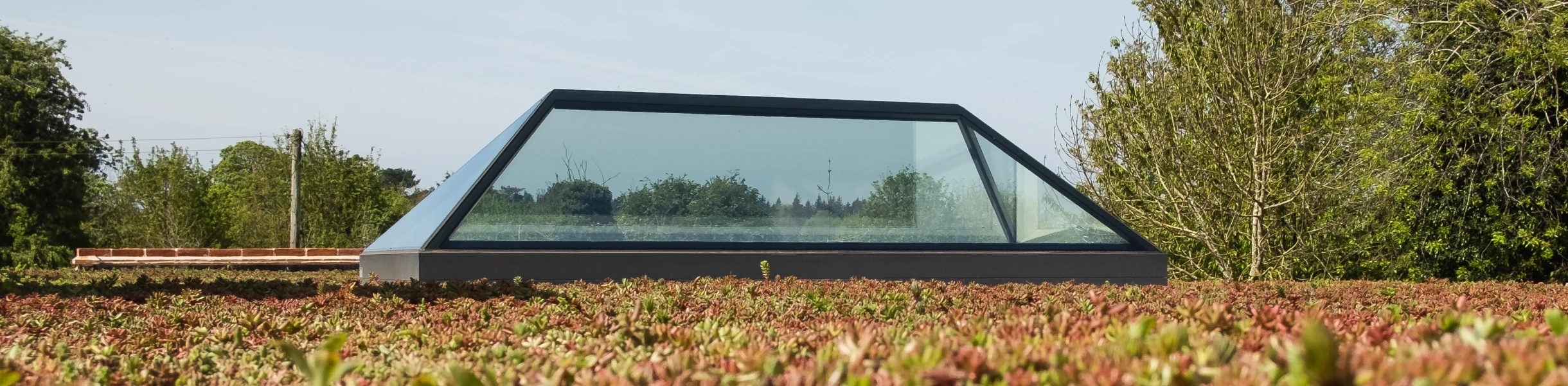 A modern glass structure with a sloped roof sits atop a vibrant green and red ground cover, surrounded by trees and blue skies.