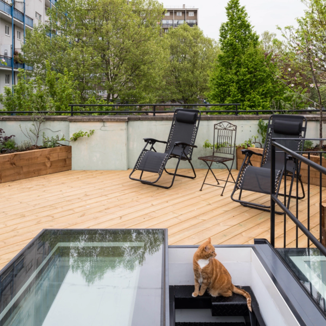 Terrasse en bois avec des chaises longues et une petite table. Un chat orange est assis au bord des escaliers menant à l'intérieur. Des arbres verdoyants entourent l'espace.