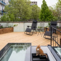 A cat sits on the steps leading to a wooden deck. The deck features two reclining chairs, a bistro-style table with a chair, and lush greenery surrounding the area.