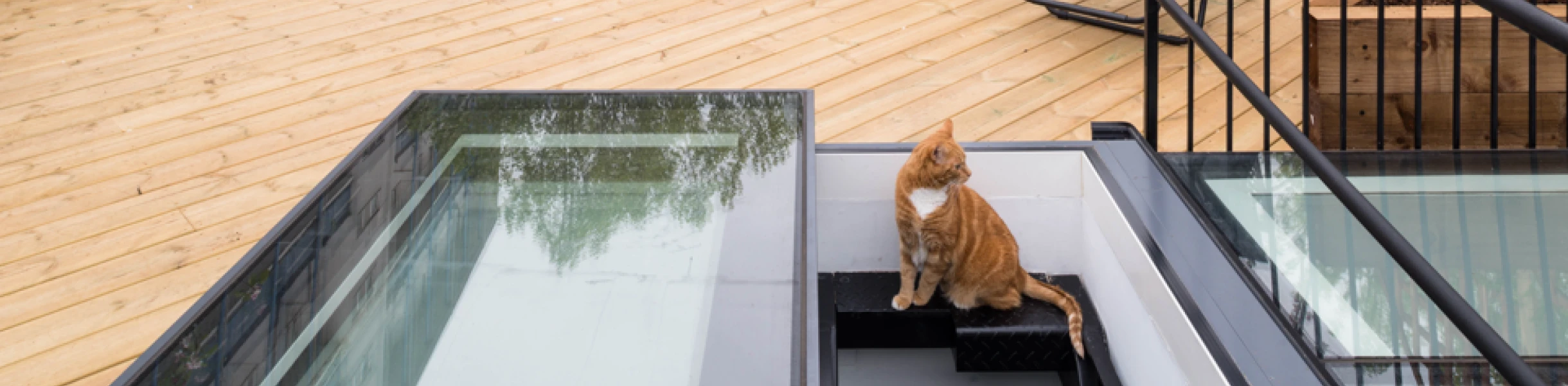 Terraza con suelo de madera, dos sillas reclinables negras, una mesa y una planta en el fondo. Un gato anaranjado está sentado en el borde de las escaleras que llevan abajo. Árboles y edificios se ven al fondo.